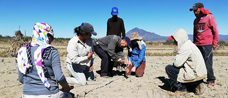 Apoyo trabajos de Gestoría excavaciones INAH